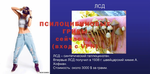 гидропоника Сафоново