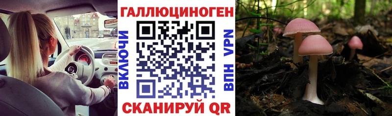 Псилоцибиновые грибы MAGIC MUSHROOMS  Менделеевск 