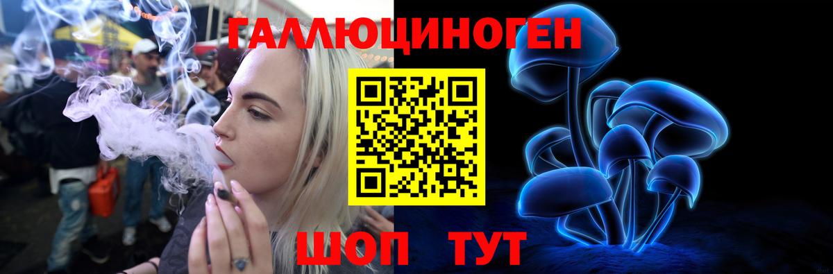 Менделеевск  что такое наркотик  Вход с VPN  Псилоцибиновые грибы прущие грибы  Псилоцибиновые грибы мицелий 