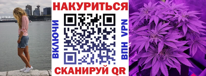 купить наркотик  Менделеевск  Конопля VHQ 