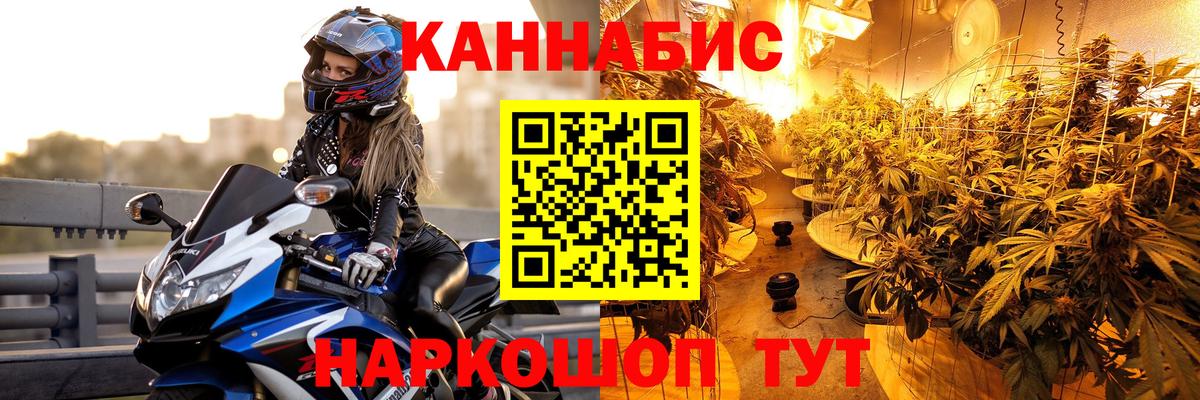 Бошки марихуана конопля  Конопля Bruce Banner  Вход с VPN  Марихуана гибрид  Менделеевск 